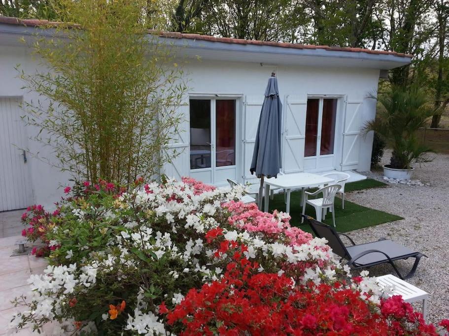 Chalet A Louer Pres De Dax Mées المظهر الخارجي الصورة